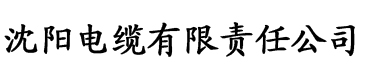 亚洲ww久久狼伊人电缆厂logo